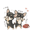 やさしいチワワ♡ほっとスタンプ（個別スタンプ：24）