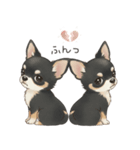 やさしいチワワ♡ほっとスタンプ（個別スタンプ：25）