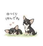 やさしいチワワ♡ほっとスタンプ（個別スタンプ：26）