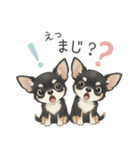 やさしいチワワ♡ほっとスタンプ（個別スタンプ：27）