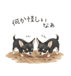 やさしいチワワ♡ほっとスタンプ（個別スタンプ：28）