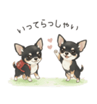 やさしいチワワ♡ほっとスタンプ（個別スタンプ：30）