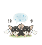 やさしいチワワ♡ほっとスタンプ（個別スタンプ：31）