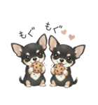 やさしいチワワ♡ほっとスタンプ（個別スタンプ：37）