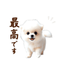 推しのこポメ✨動く愛犬スタンプ（個別スタンプ：4）