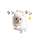 推しのこポメ✨動く愛犬スタンプ（個別スタンプ：5）