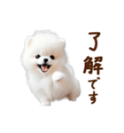 推しのこポメ✨動く愛犬スタンプ（個別スタンプ：9）