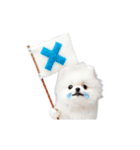 推しのこポメ✨動く愛犬スタンプ（個別スタンプ：16）