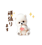 推しのこポメ✨動く愛犬スタンプ（個別スタンプ：19）