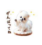 推しのこポメ✨動く愛犬スタンプ（個別スタンプ：20）