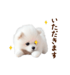 推しのこポメ✨動く愛犬スタンプ（個別スタンプ：21）