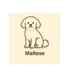 DOG BREEDS COLLECTION No.1「犬種」（個別スタンプ：1）