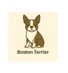 DOG BREEDS COLLECTION No.1「犬種」（個別スタンプ：12）