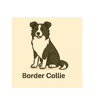 DOG BREEDS COLLECTION No.1「犬種」（個別スタンプ：16）