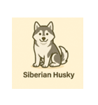 DOG BREEDS COLLECTION No.1「犬種」（個別スタンプ：19）