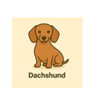 DOG BREEDS COLLECTION No.1「犬種」（個別スタンプ：24）