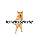 踊る！横揺れ界隈/柴犬/しばいぬ/シバイヌ（個別スタンプ：11）