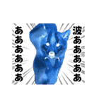 踊る！横揺れ界隈/柴犬/しばいぬ/シバイヌ（個別スタンプ：13）