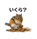 元気いっぱい！かわいいシマリスの日常（個別スタンプ：14）