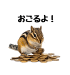 元気いっぱい！かわいいシマリスの日常（個別スタンプ：22）