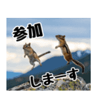 元気いっぱい！かわいいシマリスの日常（個別スタンプ：29）