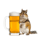 元気いっぱい！かわいいシマリスの日常（個別スタンプ：37）