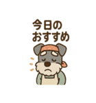 料理シュナのほっこりキッチン（個別スタンプ：6）