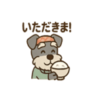 料理シュナのほっこりキッチン（個別スタンプ：12）