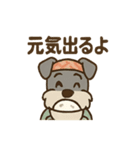 料理シュナのほっこりキッチン（個別スタンプ：13）