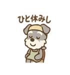 料理シュナのほっこりキッチン（個別スタンプ：20）