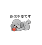 敬語版♡子育て中に使いやすいトイプードル（個別スタンプ：5）