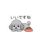 敬語版♡子育て中に使いやすいトイプードル（個別スタンプ：7）