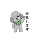 敬語版♡子育て中に使いやすいトイプードル（個別スタンプ：8）