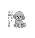 敬語版♡子育て中に使いやすいトイプードル（個別スタンプ：10）