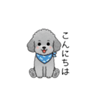 敬語版♡子育て中に使いやすいトイプードル（個別スタンプ：11）