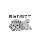 敬語版♡子育て中に使いやすいトイプードル（個別スタンプ：12）