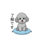 敬語版♡子育て中に使いやすいトイプードル（個別スタンプ：13）