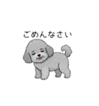 敬語版♡子育て中に使いやすいトイプードル（個別スタンプ：14）
