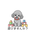 敬語版♡子育て中に使いやすいトイプードル（個別スタンプ：15）