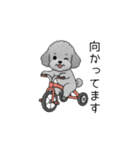 敬語版♡子育て中に使いやすいトイプードル（個別スタンプ：20）