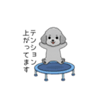 敬語版♡子育て中に使いやすいトイプードル（個別スタンプ：25）