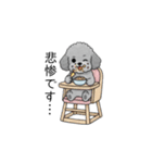 敬語版♡子育て中に使いやすいトイプードル（個別スタンプ：32）