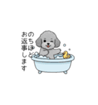 敬語版♡子育て中に使いやすいトイプードル（個別スタンプ：33）