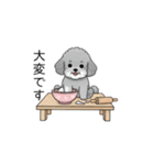 敬語版♡子育て中に使いやすいトイプードル（個別スタンプ：35）