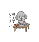 敬語版♡子育て中に使いやすいトイプードル（個別スタンプ：36）