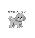 敬語版♡子育て中に使いやすいトイプードル（個別スタンプ：37）
