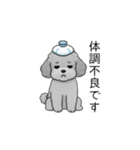 敬語版♡子育て中に使いやすいトイプードル（個別スタンプ：38）