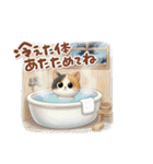 三毛猫の冬のあいさつ（個別スタンプ：10）