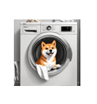 柴犬の新日常7（個別スタンプ：14）