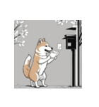 柴犬の新日常7（個別スタンプ：15）